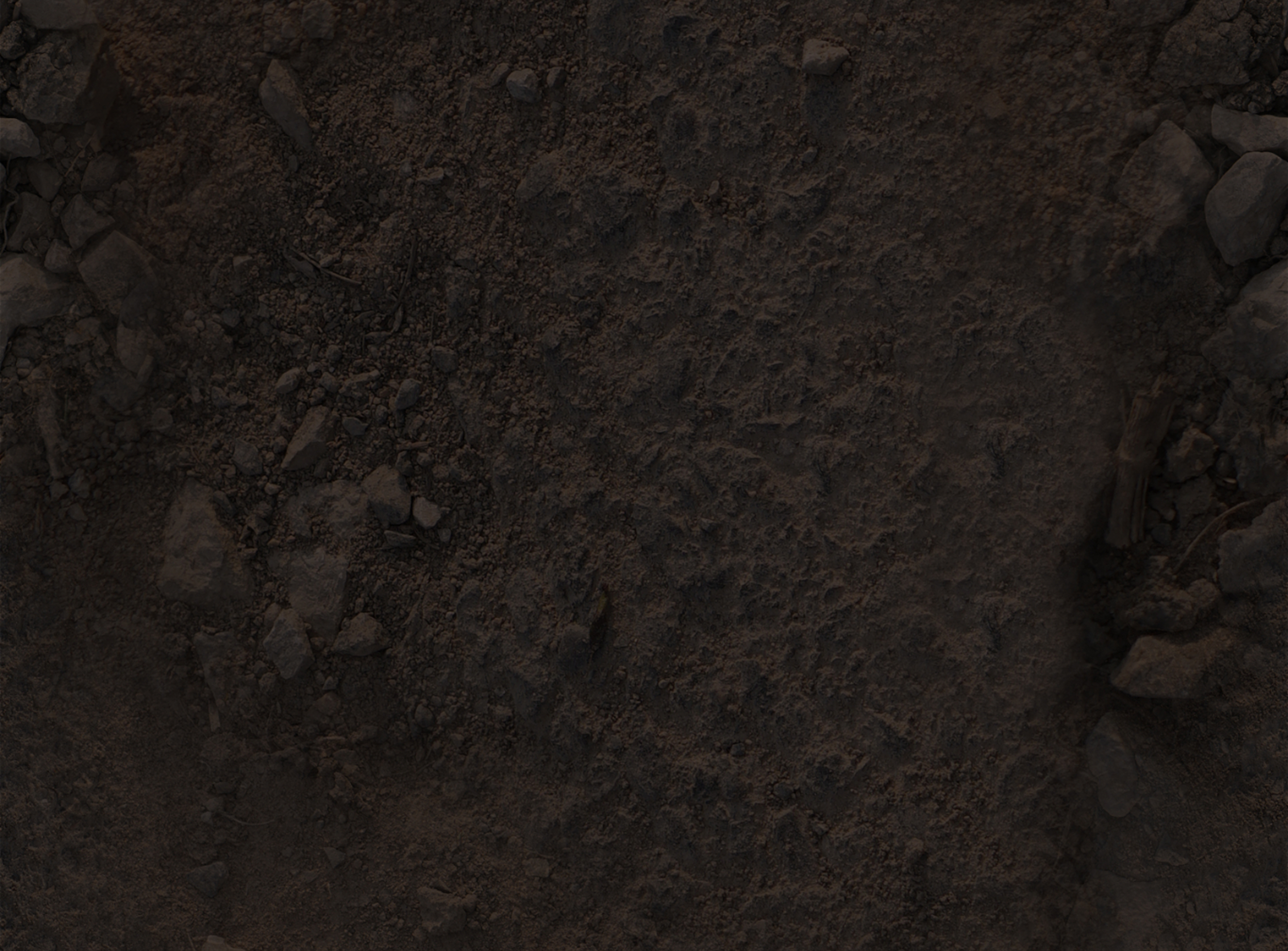 Dirt and rock ground texture